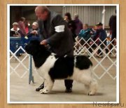 Превью фото № 180038