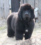 Превью фото № 180065