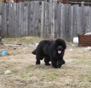 Превью фото № 180146