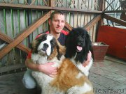 Превью фото № 180155