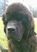 Превью фото № 180178