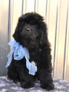 Превью фото № 180234