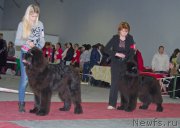 Превью фото № 180257