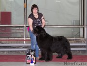 Превью фото № 180288