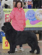 Превью фото № 180293