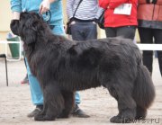 Превью фото № 180306