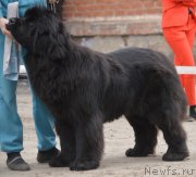 Превью фото № 180307