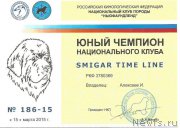 Превью фото № 180343