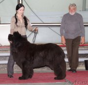 Превью фото № 180344