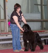 Превью фото № 180345