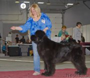 Превью фото № 180357