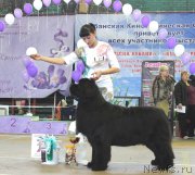 Превью фото № 180361