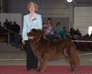 Превью фото № 180365