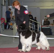 Превью фото № 180366