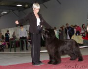 Превью фото № 180367