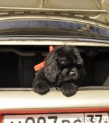 Превью фото № 180426