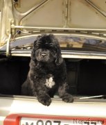 Превью фото № 180427