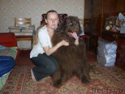 Превью фото № 180441