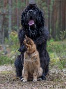 Превью фото № 180443