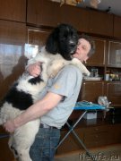 Превью фото № 180445