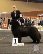 Превью фото № 180527