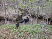 Превью фото № 180552