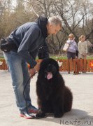 Превью фото № 180593