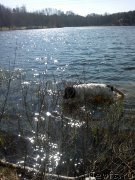 Превью фото № 180598