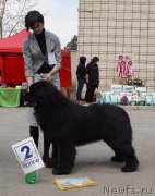 Превью фото № 180622