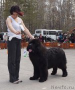 Превью фото № 180623