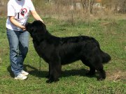 Превью фото № 180630