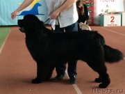 Превью фото № 180632