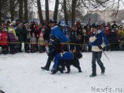 Превью фото № 180634