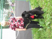 Превью фото № 180679