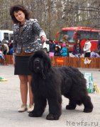 Превью фото № 180686