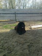 Превью фото № 180689