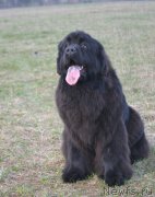 Превью фото № 180693