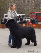 Превью фото № 180710