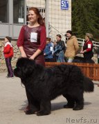 Превью фото № 180712