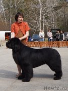 Превью фото № 180726