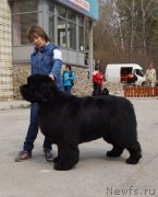 Превью фото № 180732