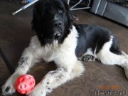 Превью фото № 180733