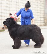 Превью фото № 180757