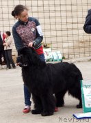 Превью фото № 180759