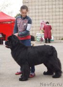 Превью фото № 180776