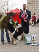 Превью фото № 180778