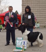 Превью фото № 180782