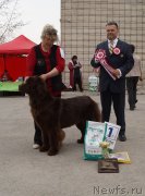 Превью фото № 180785