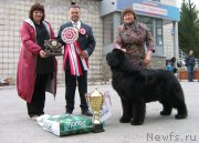 Превью фото № 180787