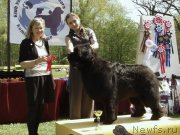 Превью фото № 180799